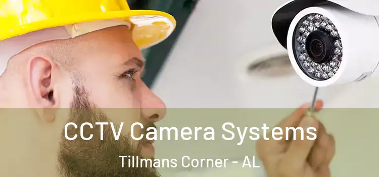 CCTV Camera Systems Tillmans Corner - AL