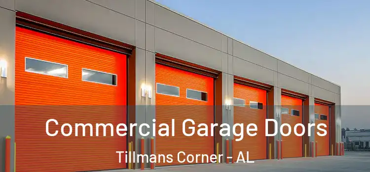  Commercial Garage Doors Tillmans Corner - AL