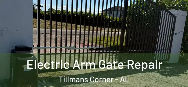  Electric Arm Gate Repair Tillmans Corner - AL