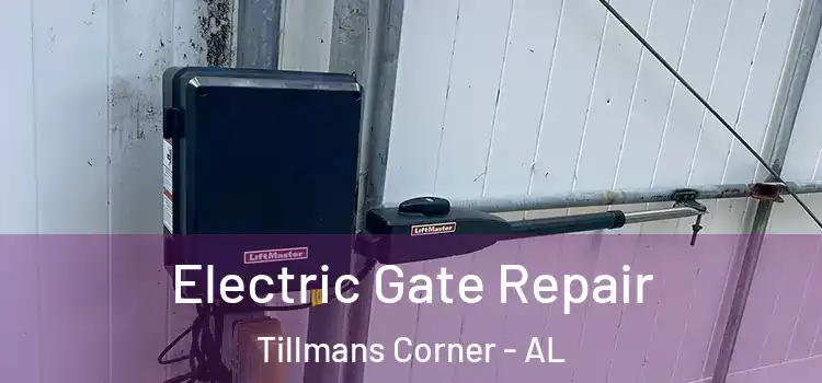 Electric Gate Repair Tillmans Corner - AL