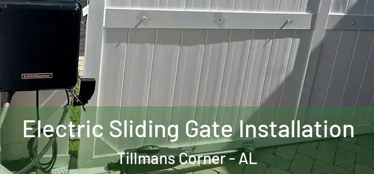  Electric Sliding Gate Installation Tillmans Corner - AL