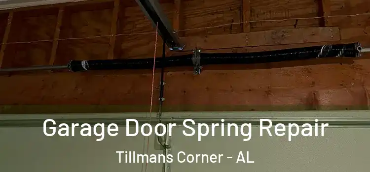  Garage Door Spring Repair Tillmans Corner - AL