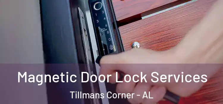 Magnetic Door Lock Services Tillmans Corner - AL