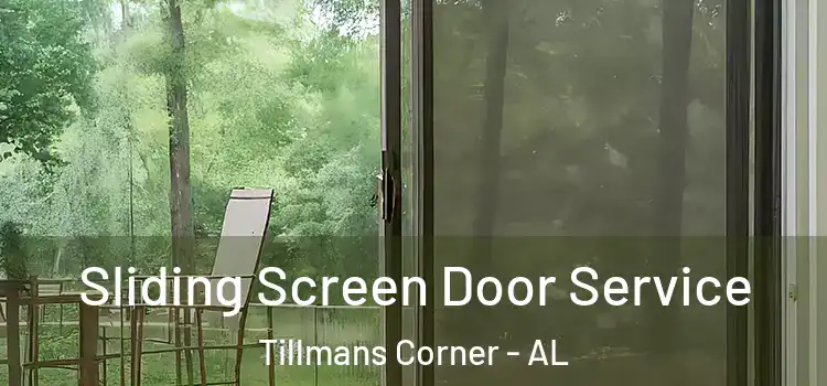 Sliding Screen Door Service Tillmans Corner - AL